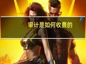 审计是如何收费的