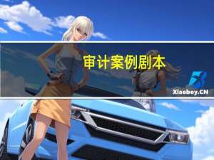 审计案例剧本