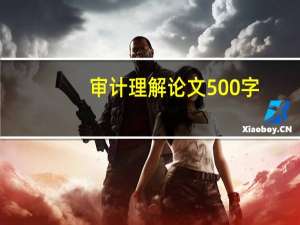 审计理解论文500字