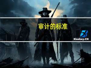 审计的标准