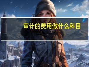 审计的费用做什么科目