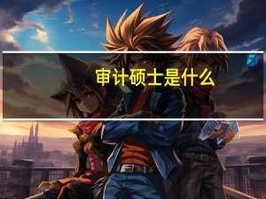 审计硕士是什么