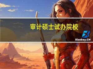 审计硕士试办院校