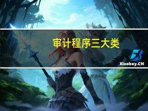 审计程序三大类