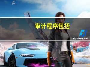 审计程序包括