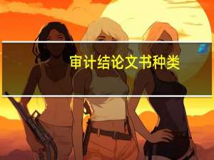 审计结论文书种类