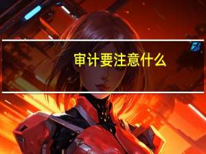 审计要注意什么