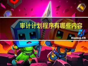 审计计划程序有哪些内容