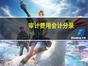 审计费用会计分录（审计费用会计分录）