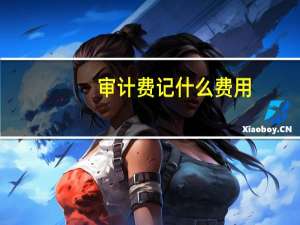 审计费记什么费用