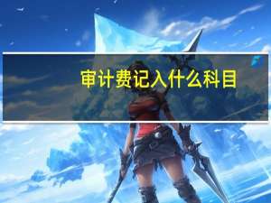 审计费记入什么科目