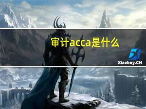 审计acca是什么