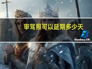 审驾照可以延期多少天