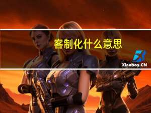 客制化什么意思