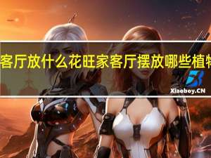 客厅放什么花旺家 客厅摆放哪些植物旺财