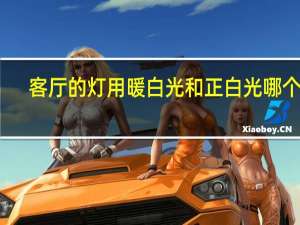 客厅的灯用暖白光和正白光哪个好