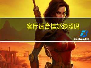 客厅适合挂婚纱照吗