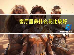 客厅里养什么花比较好