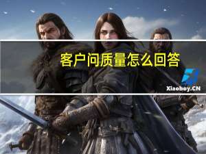 客户问质量怎么回答