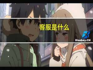 客服是什么