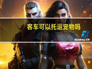 客车可以托运宠物吗