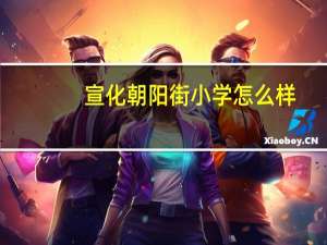 宣化朝阳街小学怎么样