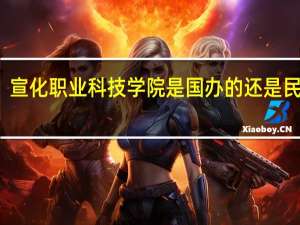 宣化职业科技学院是国办的还是民办的