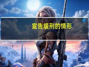 宣告缓刑的情形