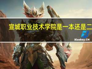 宣城职业技术学院是一本还是二本