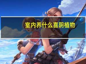 室内养什么喜阴植物
