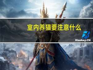 室内养猫要注意什么