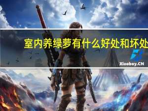 室内养绿萝有什么好处和坏处
