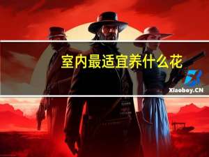 室内最适宜养什么花