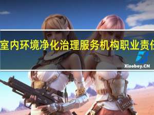 室内环境净化治理服务机构职业责任保险（室内环境净化）
