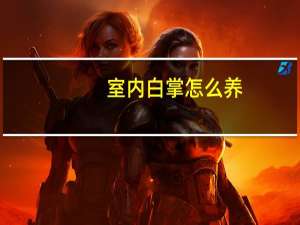 室内白掌怎么养