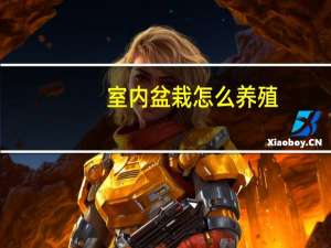 室内盆栽怎么养殖