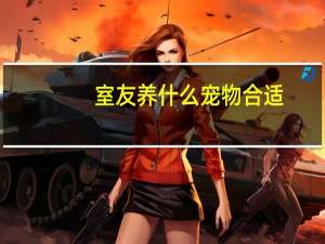 室友养什么宠物合适