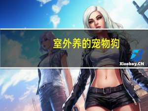 室外养的宠物狗