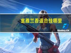 室雅兰香适合挂哪里