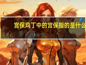 宫保鸡丁中的宫保指的是什么