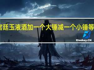 宫廷玉液酒加一个大锤减一个小锤等于多少