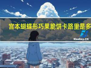 宫本 蝴蝶形巧果脆饼卡路里是多少