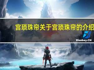 宫琐珠帘 关于宫琐珠帘的介绍