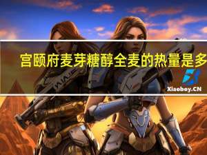 宫颐府 麦芽糖醇全麦的热量是多少