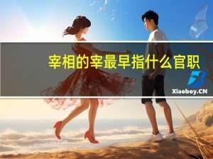 宰相的宰最早指什么官职