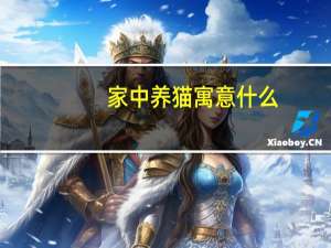 家中养猫寓意什么