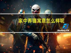 家中养猫寓意怎么样呢