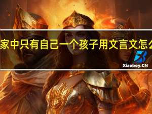 家中只有自己一个孩子用文言文怎么表示