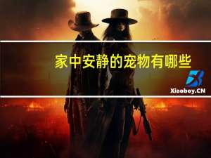 家中安静的宠物有哪些
