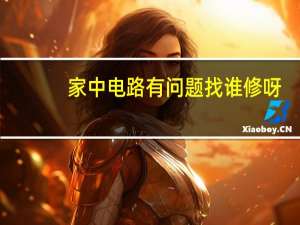 家中电路有问题找谁修呀